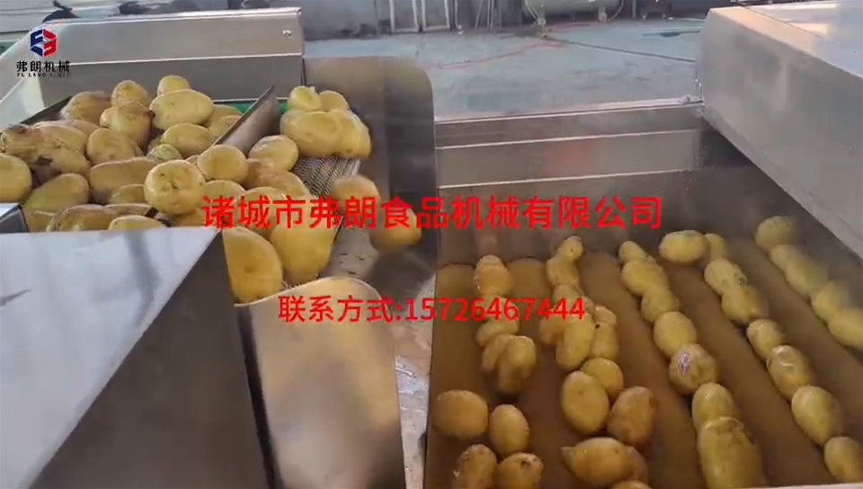土豆清洗風(fēng)干分級(jí)流水線(xiàn)試機(jī)